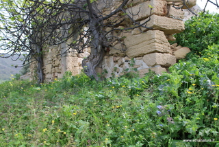 Villa Capuana